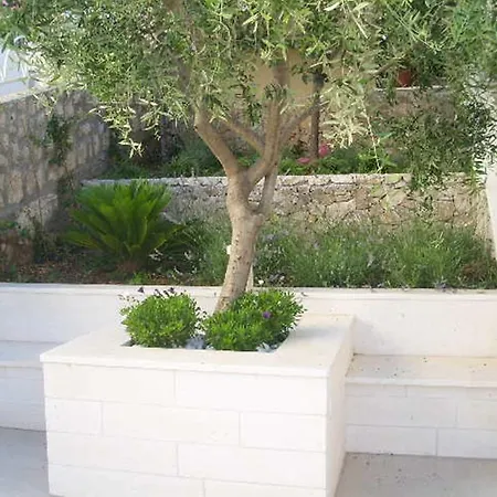 Anamaria Trogir
